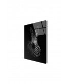 Zebra Cam Tablo 50x70 Cm