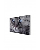 Kedi Cam Tablo 50x70 Cm