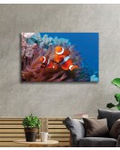 Balıklar Cam Tablo Fishes