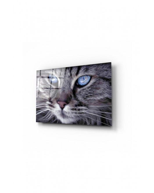 Kedi Cam Tablo 50x70 Cm