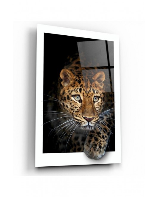 Leopar Cam Tablo