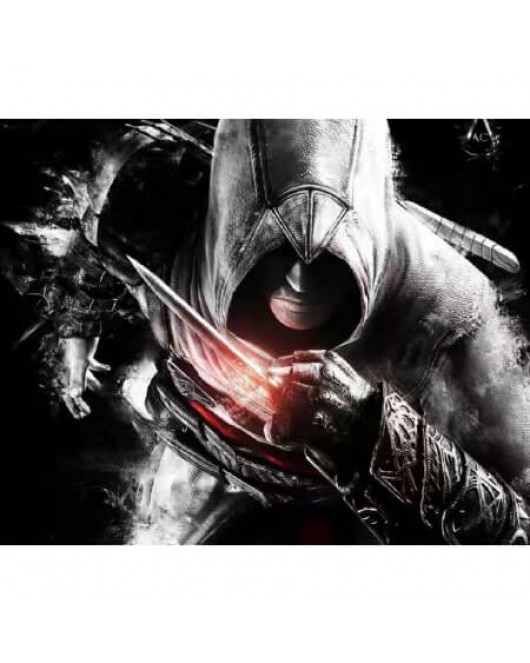 Kanvas Assassin'S Creed Sayılarla Boyama Seti Rulo