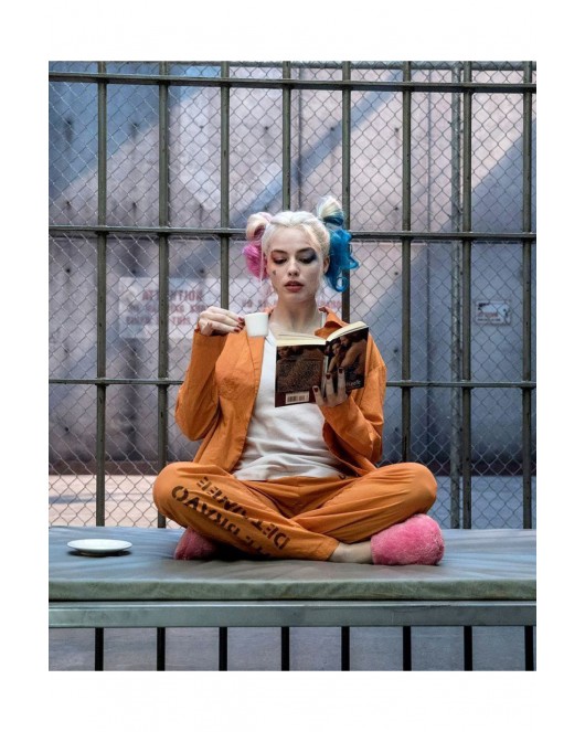 Kanvas Harleyquinn'İn Bir Günü Sayılarla Boyama Seti Kasnaklı