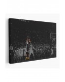 Stephen Curry Kanvas Tablo-5144