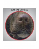 Pipo İçin Köpek Duvar Tablosu-6032