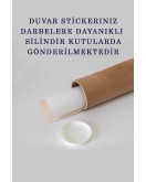 Dünya Haritası Eğitici Ülke Bayraklı Türkçe Harita Çocuk ve Genç Odası Duvar Sticker-60x105-3865B