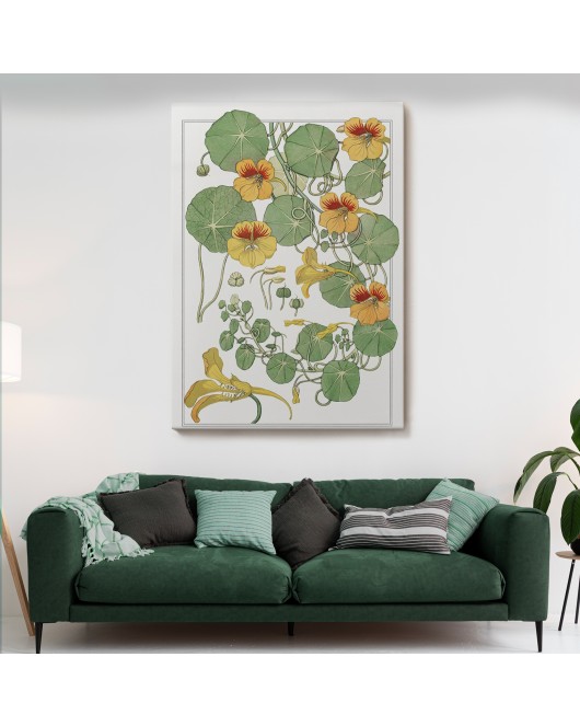 Nasturtium Çiçeği Kanvas Tablo-5206